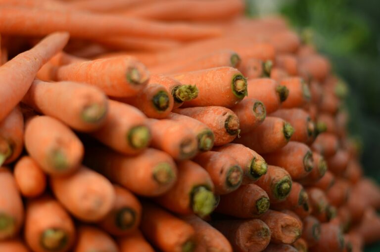 Health Benefits of Carrot : Mohit Tandon Burr Ridge