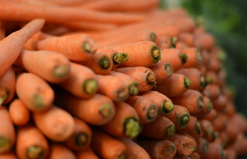 Health Benefits of Carrot : Mohit Tandon Burr Ridge