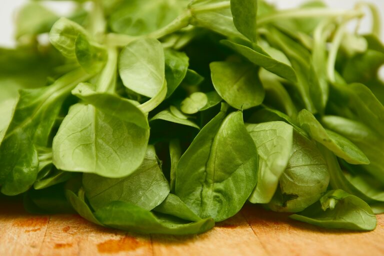 15 Health Benefits of Spinach : Mohit Tandon Burr Ridge