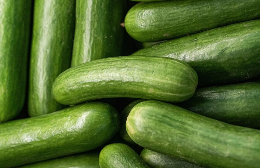10 health Benefits of Cucumber